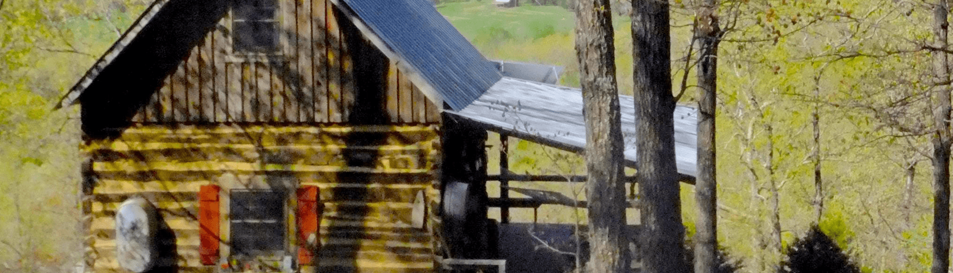 A rustic wooden cabin with a metal roof surrounded by trees and greenery.