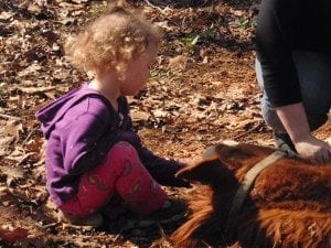 child petting horse laying on ground