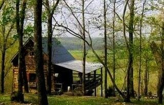 Aunt Phoebe's Perch Log Cabin in spring